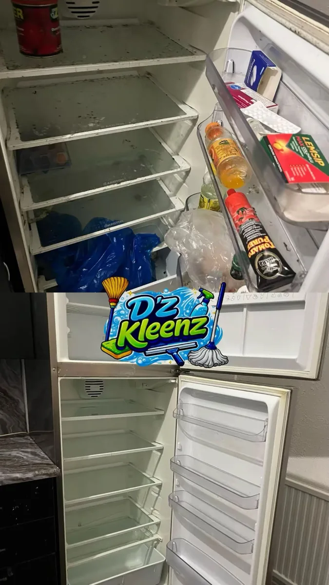 D’Z Kleenz before and after — Fridge sanitised